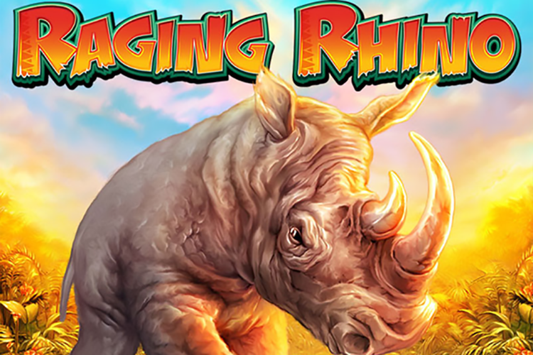 Raging Rhino Slot WMS